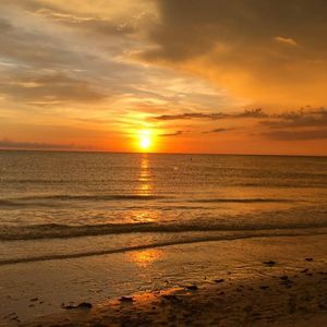 Meet your Posher, Mandy